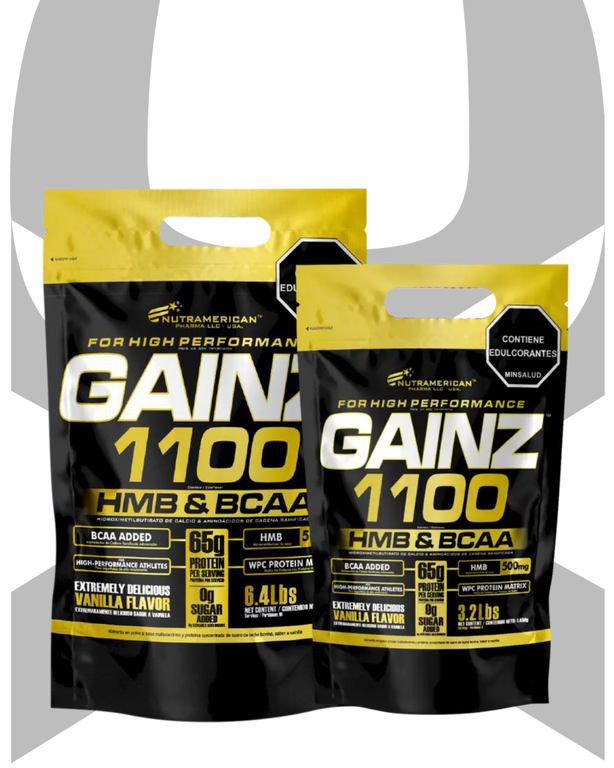 GAINZ 1100
