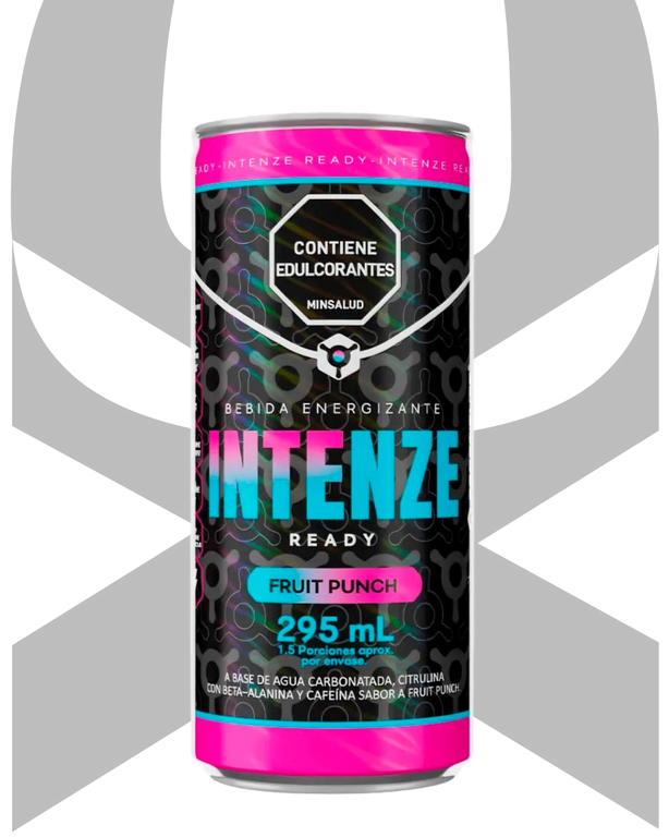 INTENZE READY 295ML